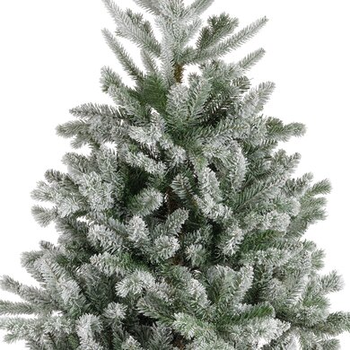 Snowy Alba Fir 2.4m - image 2