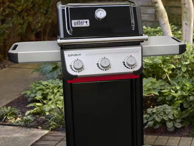 Spirit E-315 - image 2