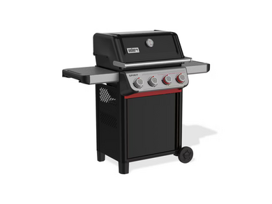 Spirit E-425 - image 3