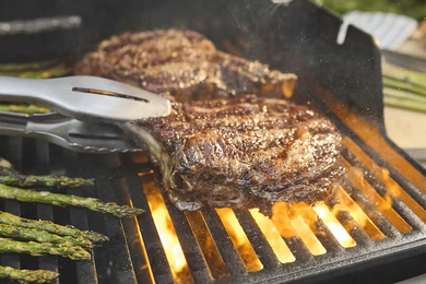 Spirit E-425 - image 5