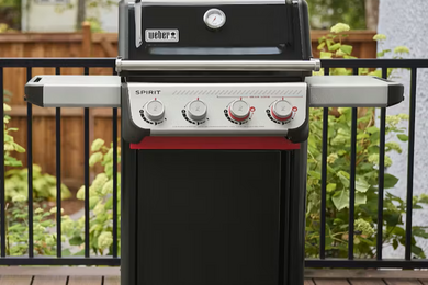 Spirit E-425 - image 7