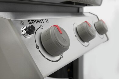 Spirit II E-320 - image 4