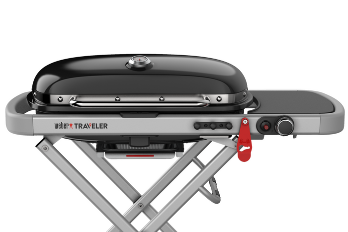 Traveler - image 1